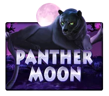 Panther Moon