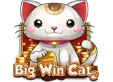 Big Win Cat