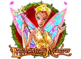 Enchanted Meadow