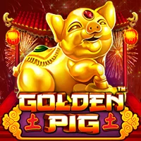 Golden Pig